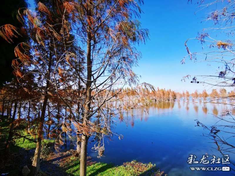 专栏│河南省妇女十四大精神在漯河市各界妇女中引发热烈反响(一)