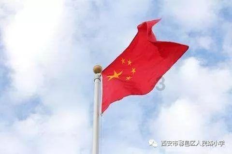 小仓鼠吃瓜子