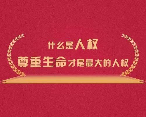 巴西一小型飞机失事，机上7人全部遇难