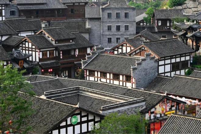 家里老有这种虫子大家谁知道是什么？